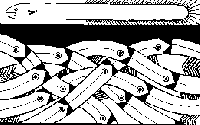 Black and white artwork of eel.