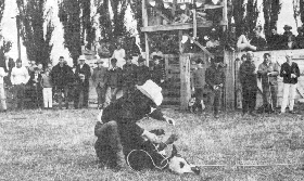Man in white hat holding down a calf at a rodeo.