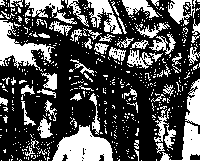 Sketch of person amongst trees.