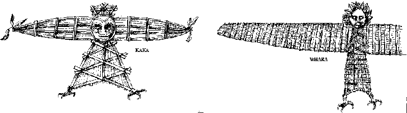 Pencil drawings of two kites with text kaka and whaka.