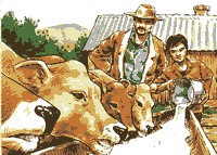 painted picture, father and son feeding cows