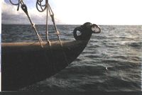 photograph, prow of the canoe