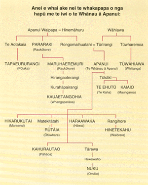 Chart showing Whānau ā Apanui.