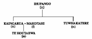 He whakapapa: Ihupanga (m) > Tuwhakatere (m) / Kaingarua (m)= Makotahi (f) > Te Houtāewa.