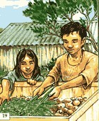 painted picture, two children sorting crops