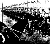 Black and white photo of horse in front of military parade.
